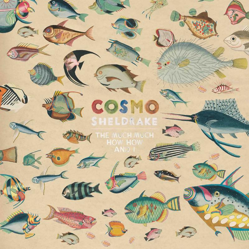 Cosmo Sheldrake