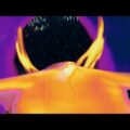 Zach Hill の新バンド Undo K From Hot、デビューアルバム『G.A.S. Get A Star』をリリース!