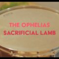 オハイオのインディーロック・カルテット The Ophelias、ニューアルバム『Crocus』を 9/24 リリース!