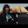 NZのギターポップ・バンド The Beths、ライブ・アルバム『Auckland, New Zealand, 2020』をリリース!