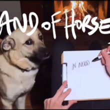 Band of Horses、6枚目のスタジオアルバム『Things Are Great』を 3/4 リリース！