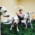 Rex Orange County、待望のニューアルバム『WHO CARES?』を 3/11 リリース！