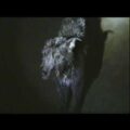 UKのロック・バンド Buzzard Buzzard Buzzard、約1年ぶりの新曲「Chew」をリリース！