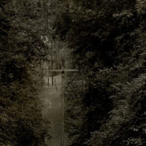 Ethel Cain - Willoughby Tucker， I'll Always Love You