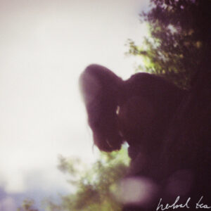 herbal tea - Hear as the Mirror Echoes