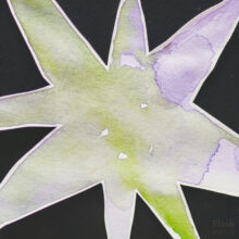 韓国発謎のアーティスト Bird's Eye Thief、ニューアルバム『Flash』を リリース！