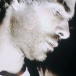 Ulrika Spacek - EXPO