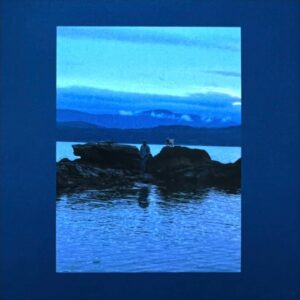 新品 送料込 Vulfpeck Clarity of Cal ナンバリングあり Vulfpeckニューアルバム『Clarity of Cal』発売前全曲紹介！｜Dr