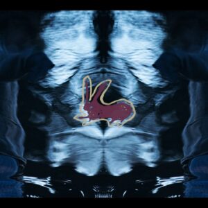 サウス・ロンドンの新星 1000 Rabbits が Young と契約...