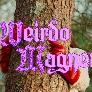 英仏の姉妹エレポップ・デュオ Disgusting Sisters、サー...