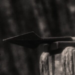 Violet Grohl、デビューアルバム『Be Sweet To Me...