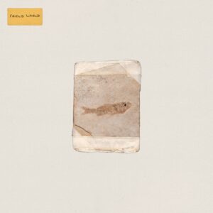 Do Nothing - Friend World