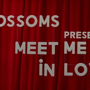 Blossoms - Songs From The Wedding Cake