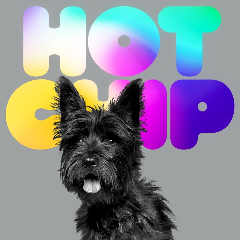 Hot Chip A Long Way From Kansas